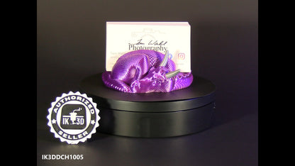 Sleeping Dragon Card Holder